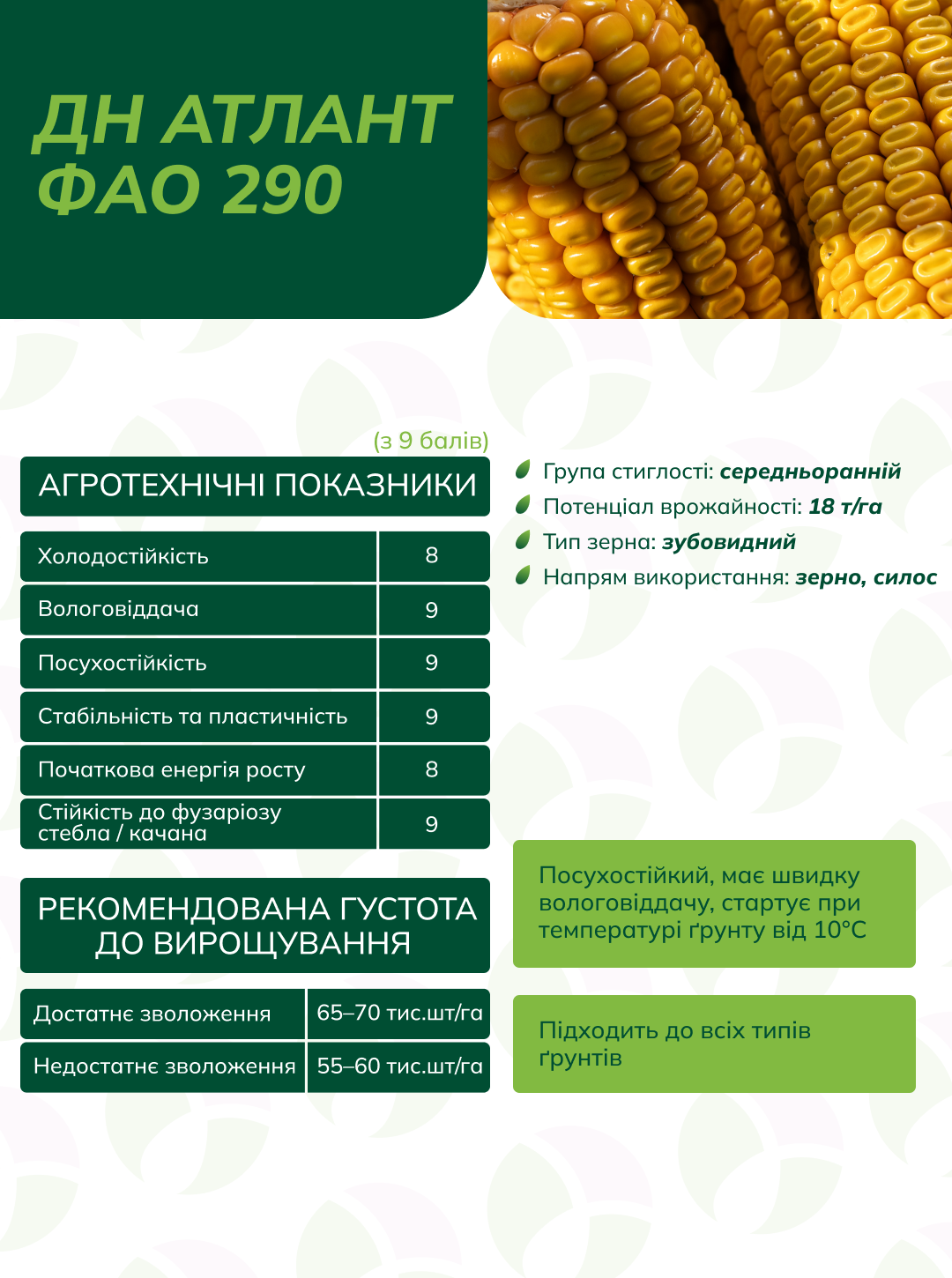 ДН Атлант (ФАО 290)