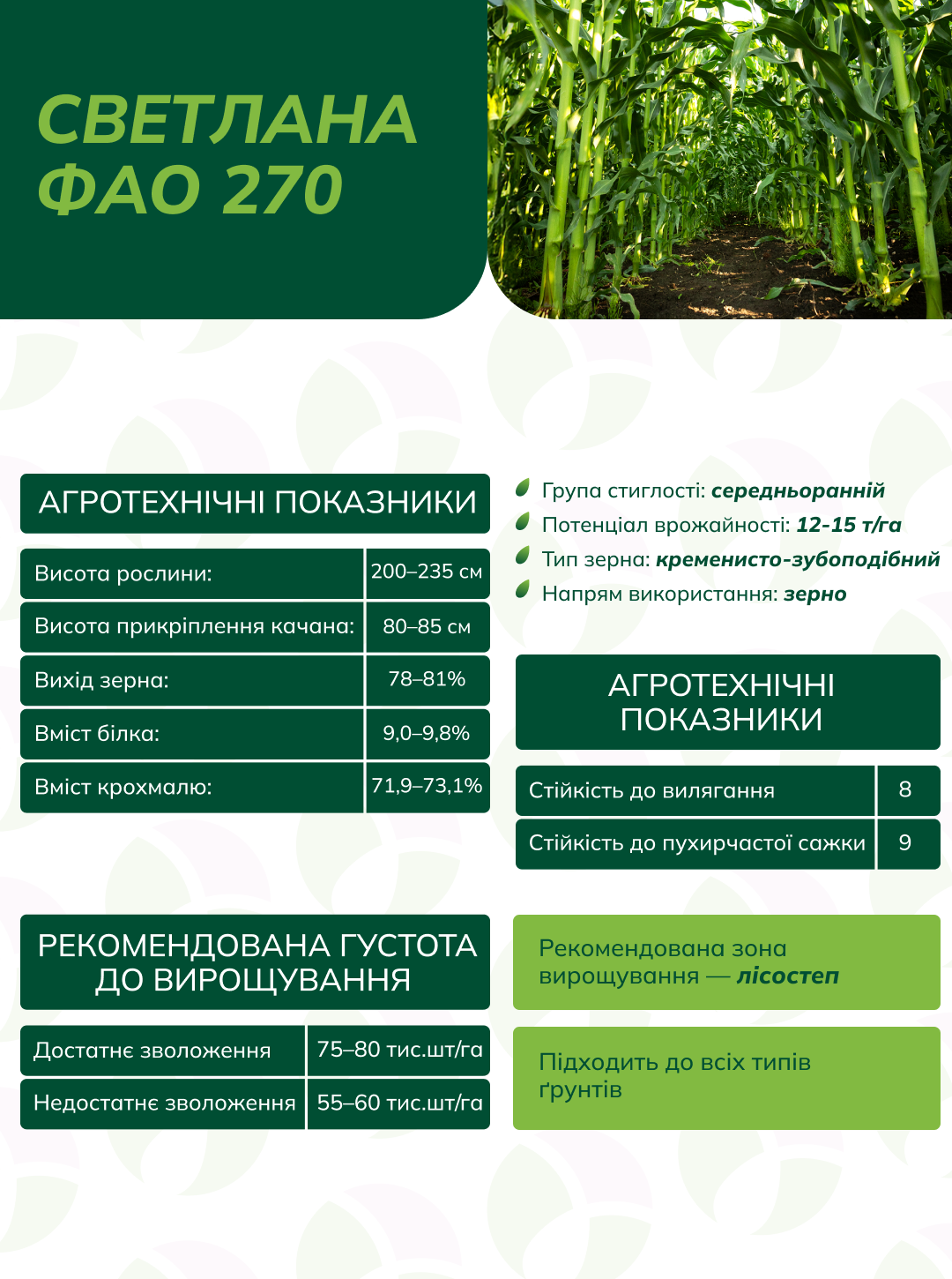 Светлана (ФАО 270)