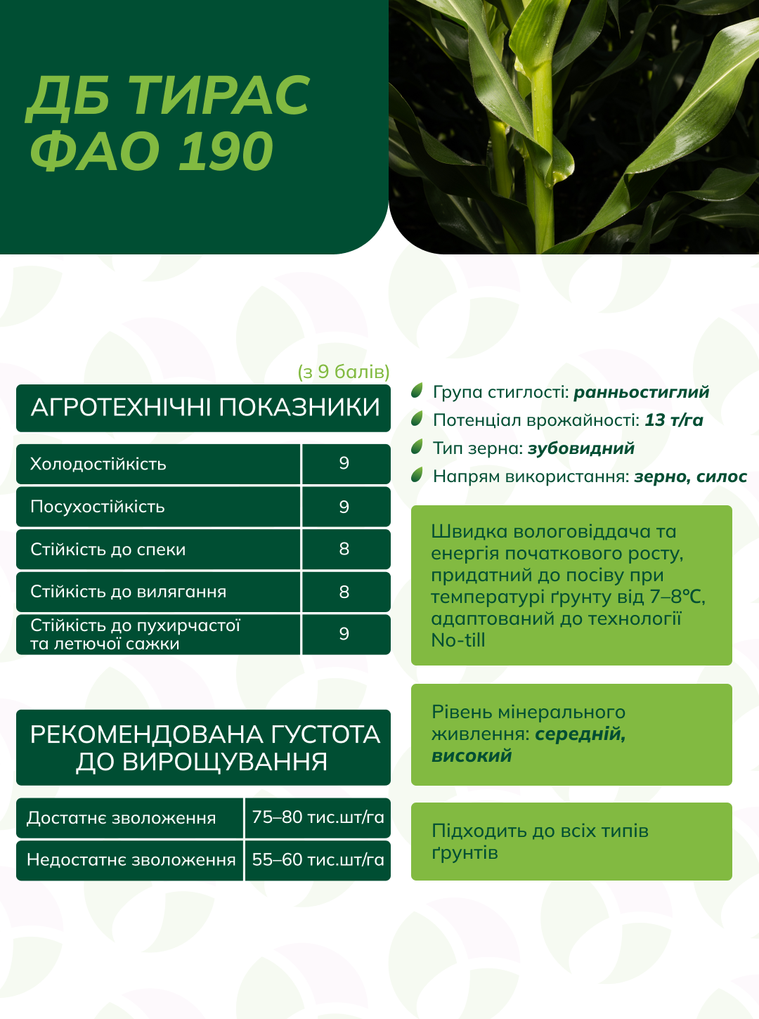 ДБ Тирас (ФАО 190)
